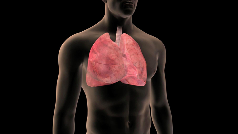 Lung Cancer Prevention.jpg