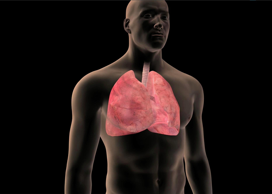 Lung Cancer Prevention.jpg