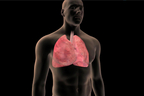 Lung Cancer Prevention.jpg