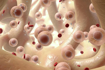 Understanding Leukemia.jpg