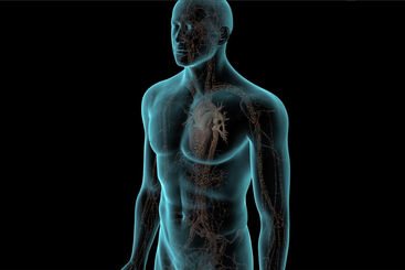 Low Testosterone Therapy.jpg