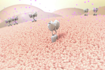 Gestational Diabetes.jpg