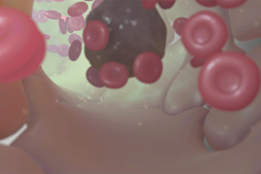 Targeted Cancer Cell Therapy.jpg