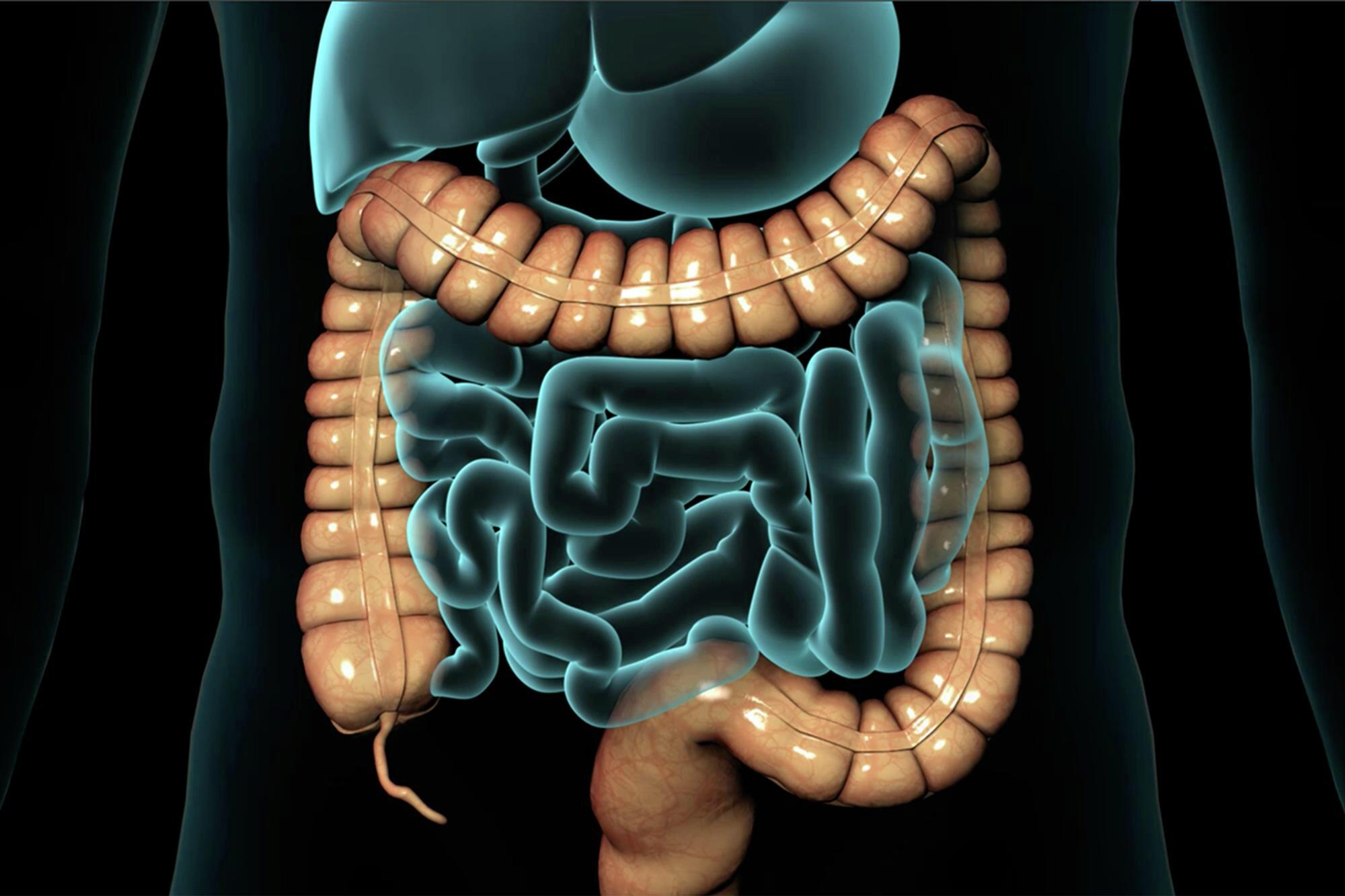 colonoscopy scope