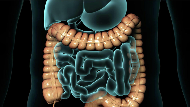 colonoscopy procedure