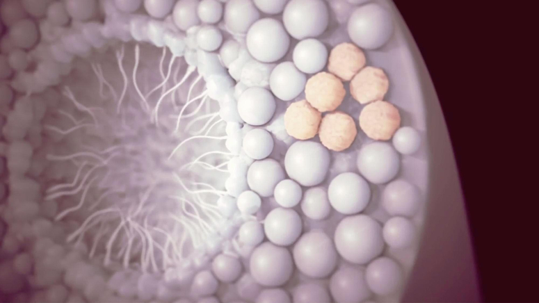 Testicular Cancer.jpg