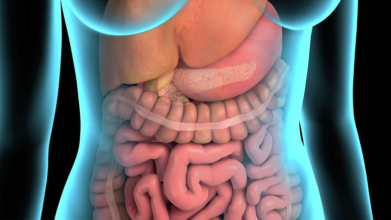 Pancreatic Cancer.jpg