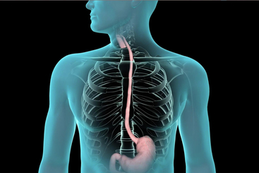 Upper GI Endoscopy.jpg