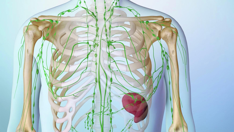 Understanding Lymphoma.jpg